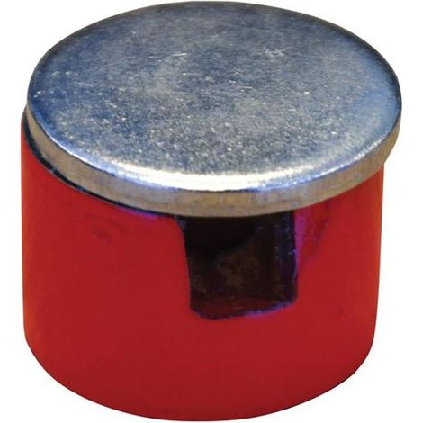 Button Magnet 12.5mm Power 0.7kg