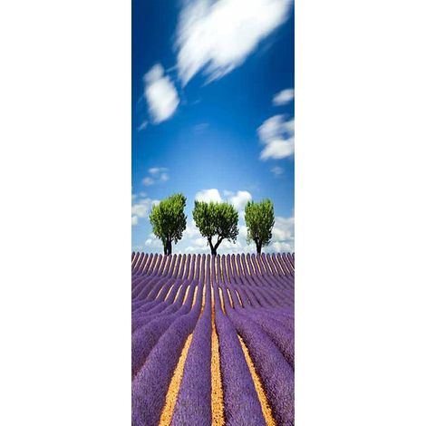 Stickers muraux pour portes - Papier peint autocollant - PVC - Support pré-collé - Repositionnable - Décoration intérieure - Papier peint - Pour chambre, salon et couloir - Papier peint autocollant - (1/5)
