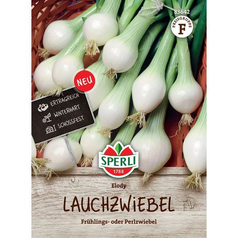 Sperli Lauchzwiebeln Elody - Gemüsesamen (1/2)