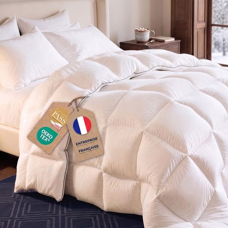 FLANDRIA Couette en Plumes et Duvet Grand Froid 850 g/m², 240x260 (1/5)