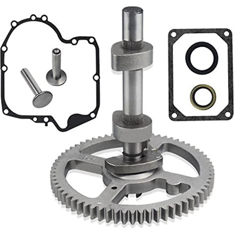 Kit de remplacement d'arbre à cames 84005207 793880 - pour moteurs Brigg & Stratton 793583, 792681, 791942 et 795102 (1/5)