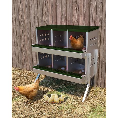 Nichoir à Ponte pour Poules - 2 Étages & 8 Compartiments avec 8 Œufs Faux, Acier Galvanisé Anti-Rouille, Collecte Semi-Automatique (Vert)