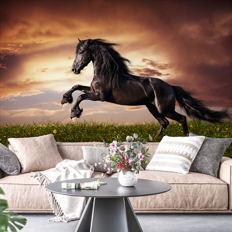 Papier peint panoramique - Cheval - 130 cm x 86 cm (1/4)