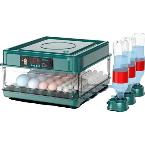 Incubadora de huevos, volteo automático de huevos, control de temperatura, 36 huevos - Enchufe europeo (1/2)