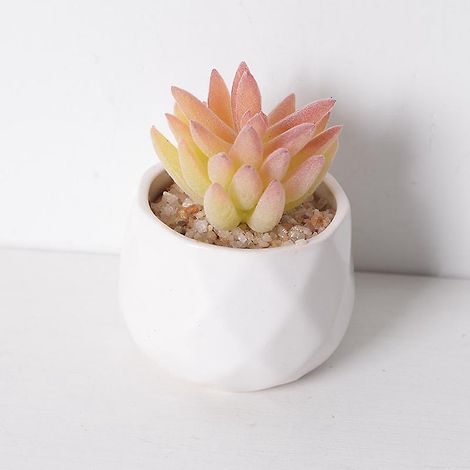1 Pcs (rose) Plantes Artificielles Succulentes,mini Pot De Fausses Plantes Avec Des Pots Blancs,fausses Plantes Vertes Dcoration Pour Table, Maiso (1/5)