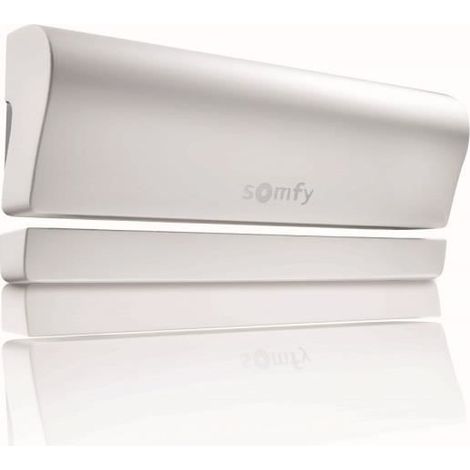 Somfy 2401362 Detector de Apertura, Blanco y Gris (1/5)