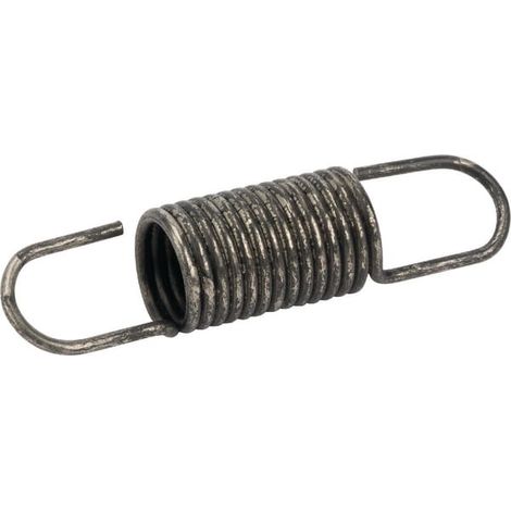 Ressort de régulateur BRIGGS ET STRATTON 790034