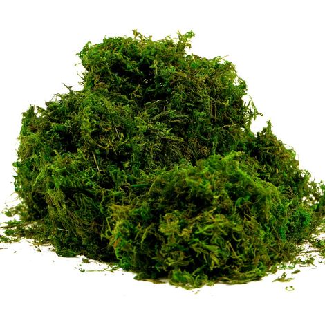 Mousse artificielle, fausse herbe verte, idéale pour les centres de table, la décoration de la maison, du potager, 400 g (1/5)