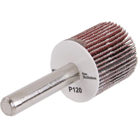 LEVIOR Disque à lamelles 20x20x6mm tige P120 21854.01