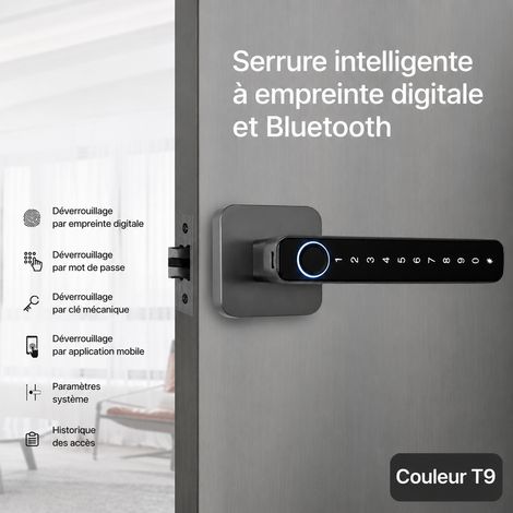Serrure intelligente T9 gris canon pour porte intérieure t9 réf 0618 25,8 × 17,8 × 7,3 cm 995 g – Livraison gratuite
