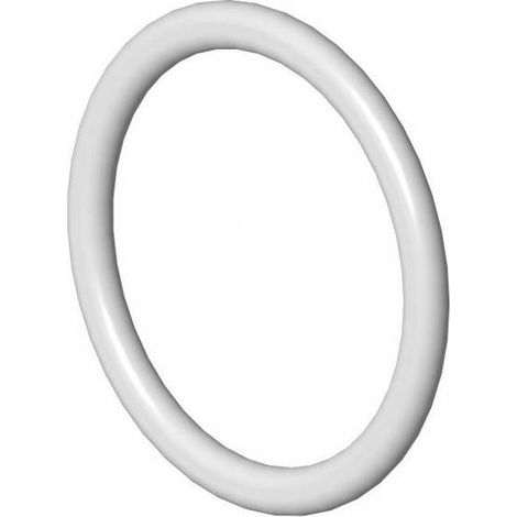 Joint S60x6 2'' semi torique en elastomer