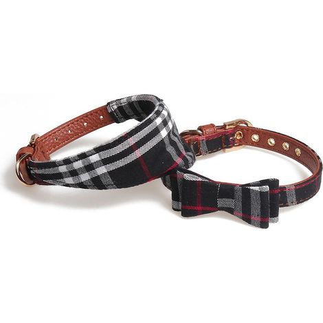 2 Picesnoir Ensemble Collier Et Laisse Pour Chien, Rglables Nud Papillon Bandana Pour Les Promenades En Plein Air Pour Chats Et Chiots (1/4)