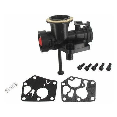 Carburateur Briggs Stratton sur réservoir 498811 (1/4)