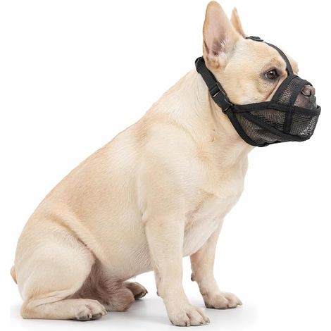 Muselière Anti Morsure pour Chien 31-59cm Ajustable (1/2)