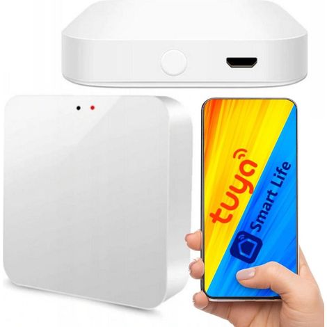 Gateway no-name Central Zigbee 3.0 Bluetooth WiFi 802.11 b/g/n (1/3)