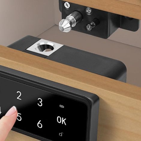 Verrou intelligent à empreintes digitales, verrouillage de tiroir alimenté par USB avec deux modes, pour salle de sport, maison, bureau (1/5)
