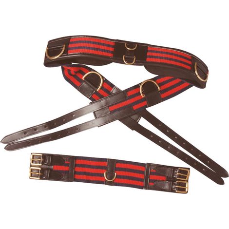 Fascione da addestramento in tela con fibbie in ottone e cuscini completo di sottopancia