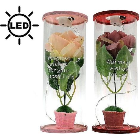 Rose dans un tube LED MIX