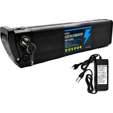 Batería de litio, capacidad de 20 Ah, compatibilidad versátil, 48 V Silverfish-DJ7021 (1/2)