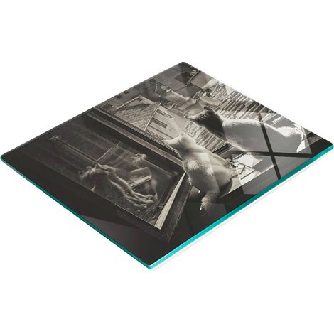 Pannello decorativo multifunzionale in vetro temperato per cucina, con motivo "Gatti alla finestra", 60x52 cm. (1/5)