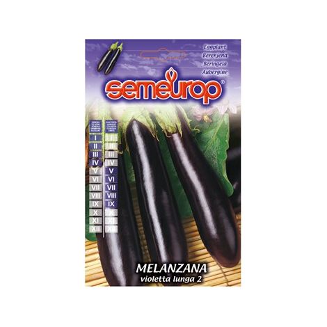 MELANZANA VIOLETTA LUNGA 2 SET 5 PEZZI - MAGNANI SEMENTI