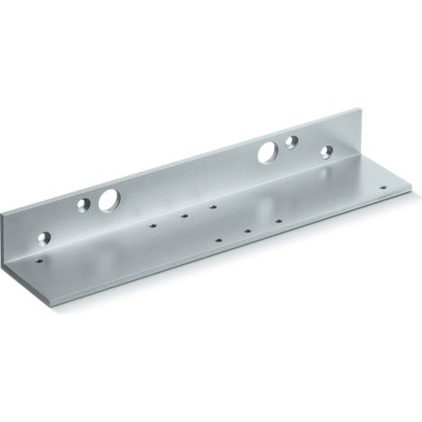 Fodero di caduta in argento per TS 4000