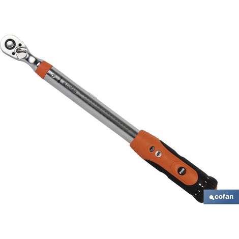 Professionelles Dynamometer 1 (200-1000 nm) (1/3)