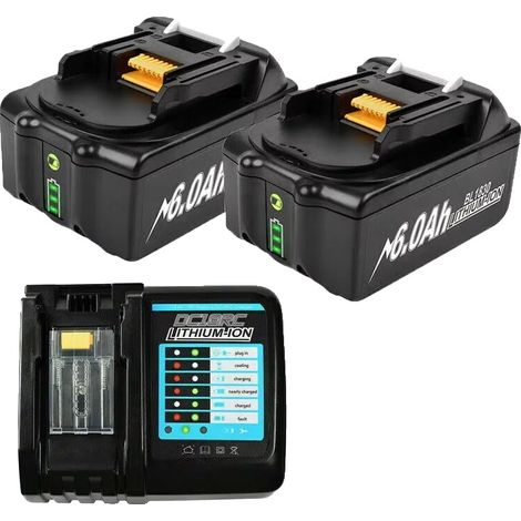 Batterie Lithium-Ion, Capacité 6000mAh, Tension 18V (1/2)