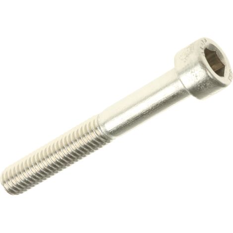 Vis à six pans creux, M6 x 45mm, en Acier Inoxydable ( Prix pour Sachet de 20 )