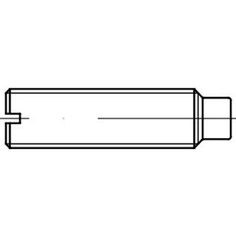 Reidl ISO 7435 Gewindestifte M12x25, mit Zapfen, 14H blank (1/2)