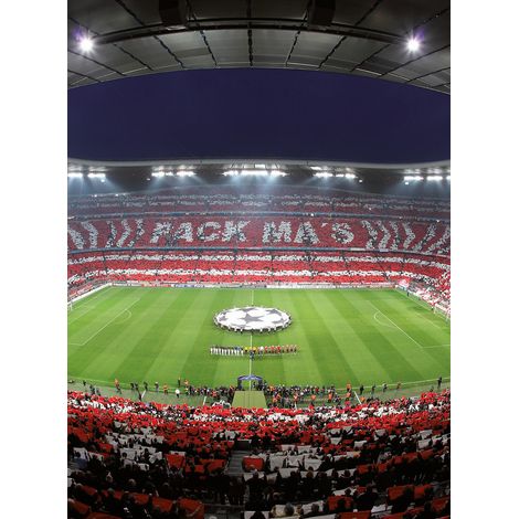 Papier peint panoramique stade de foot | Tapisserie panoramique originale rouge et verte | Papier peint panoramique pour chambre d'ado - 192 X 260 cm (4 pièces) (1/2)