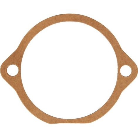Arandela de ajuste MASCHIO M02108130R