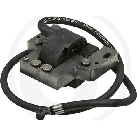 Bobina di accensione compatibile BRIGGS & STRATTON 18270073 398811