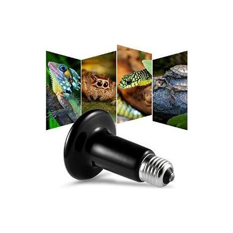 Ampoule chauffante pour Lampe chauffante Reptile 200W 220V, lampe chauffante en céramique étanche infrarouge E27 lampe chauffante en céramique pour amphibien Reptile (1/5)