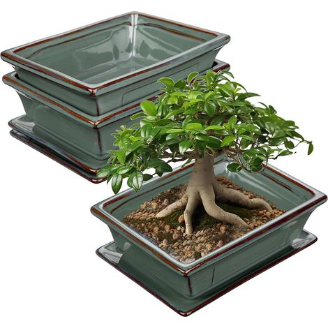 Lot de 2 pots de fleurs pour bonsaï peu profonds pour bonsaï vivants, pot de fleurs en céramique de 19 cm pour plantes grasses d'intérieur avec trou de drainage, pot de fleurs bleu (1/5)
