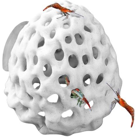 2pieces Abri À Crevettes Betta House, Grotte D'aquarium Abri À Crevettes Et Décor Aquatique Cachette D'aquarium pour Animaux, Grotte D'aquarium pour Poissons Betta, Crevettes