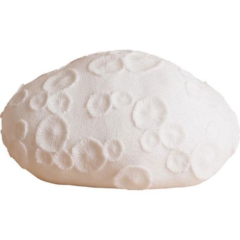 Lampe à Poser en Résine Blanche Corail Fossile 31x16x25cm