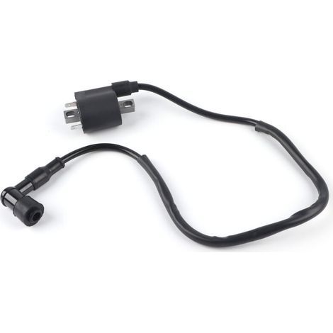 Bobine d'allumage de moto à 2 broches pour CBF125 CBR125 CR125 CR250 (1/4)