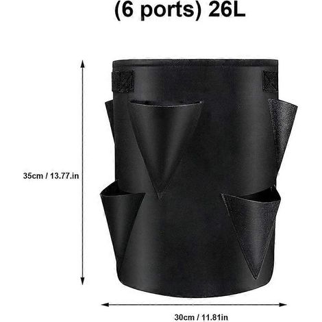 Filiyano – Kit de culture de jeunes plants de fraisiers de printemps en sac pour légumes et plantes en pot (5/7/10 gallons), pour jardin et terrasse (1/5)