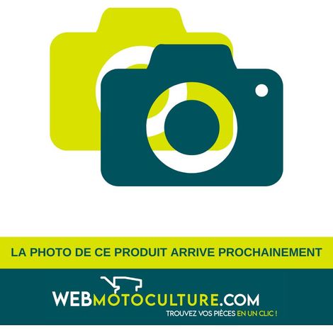 Courroie PUBERT 0306030053