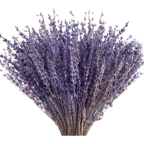 100 g Lavande séchée, Fleurs naturelles, Décoration intérieure, Bouquet DIY, Salon Chambre (1/4)