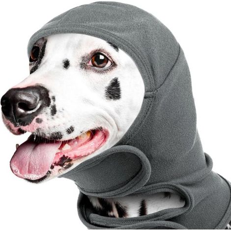 Orejeras para perros,Orejeras para Cocker Spaniels,Alivian la ansiedad,Aislamiento acústico y protección,Circunferencia del cuello de 40 cm,Gris (1/5)