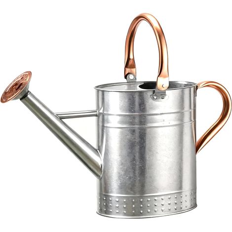 Arrosoir 1 Gallon Acier Inoxydable pour Plantes d'Intérieur - Long Bec pour Arrosage Intérieur/Extérieur Jardinage Argent (1/5)