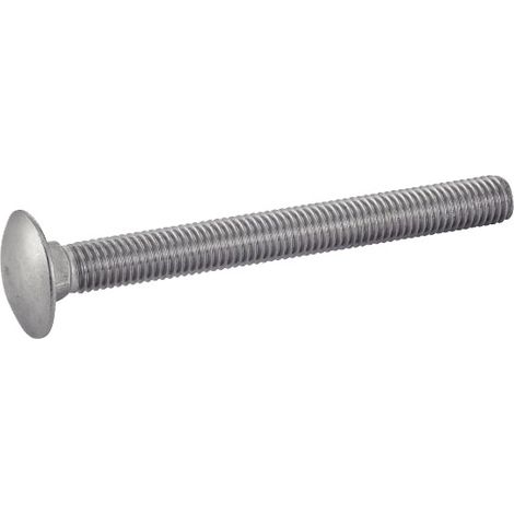 Vis à métaux tête ronde collet carré, A2. M5X60