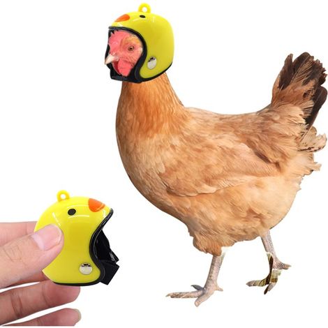Casque de poulet à motif dessin animé pour petits animaux de compagnie, ajustable, pour la sécurité des volailles (1/5)