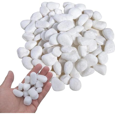 Pebbles, White Garden Pebbles, Decorative Stones, River Stones Plants, for Landscaping, Home Decoration, Crafts, Art Projects 2-4 cm (1/5)