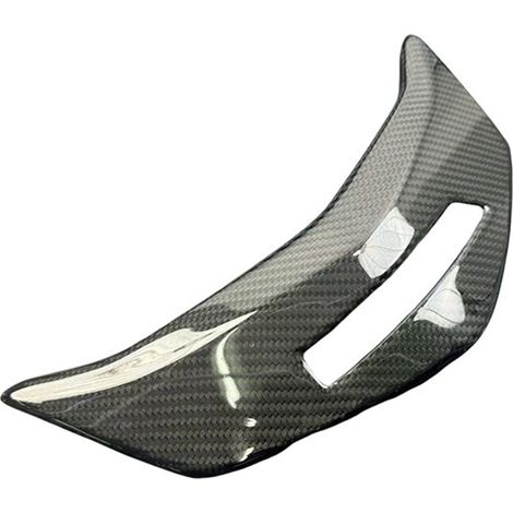 Carbon fiber front fairing for 18-24 Honda Gold Wing GL1800 F6B motorcycles (1/3)