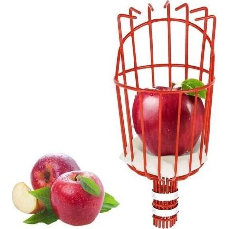 FENOPLASTICACueille Fruits métallique avec Griffe, Outil de cueillette de Fruits métal, Outils de Jardinage pour récolte de Pommes, Agrumes, Poires, Pêches (1/5)