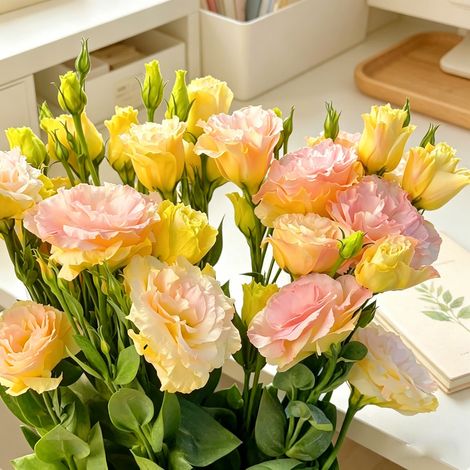 2500 graines de lisianthus champagne - Semis simple, floraison longue durée, parfait pour jardin, balcon et pots décoratifs