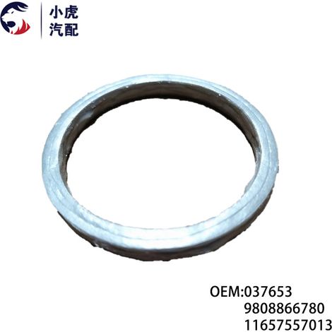 037653 11657557013 Applicable au joint de turbocompresseur Peugeot Citroën DSMINI (1/5)
